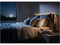 Lose Weight As You Sleep