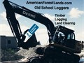 TIMBER WANTED Top dollar pay FREE BIDS Logging Service- King County  Pierce Old school loggers