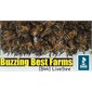 Buzzing Best Farms